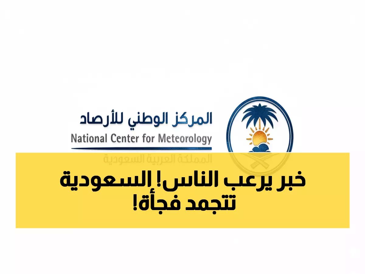  الأرصاد تحذر من برد قطبي -3 تحت الصفر وانعدام كامل للرؤية… 9 ساعات خطيرة تنتظر السعوديين!