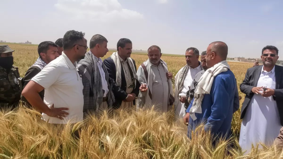 عاجل: ريمة تصنع المعجزة… نجاح 100% في زراعة الزيتون يهدد عروش إيطاليا وإسبانيا!