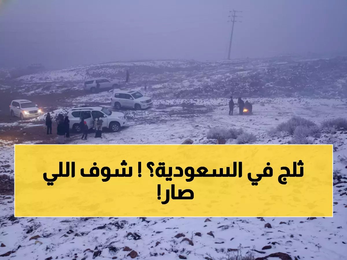  موجة صقيع تاريخية تضرب السعودية… درجات حرارة تحت الصفر وتحذيرات من انعدام الرؤية!