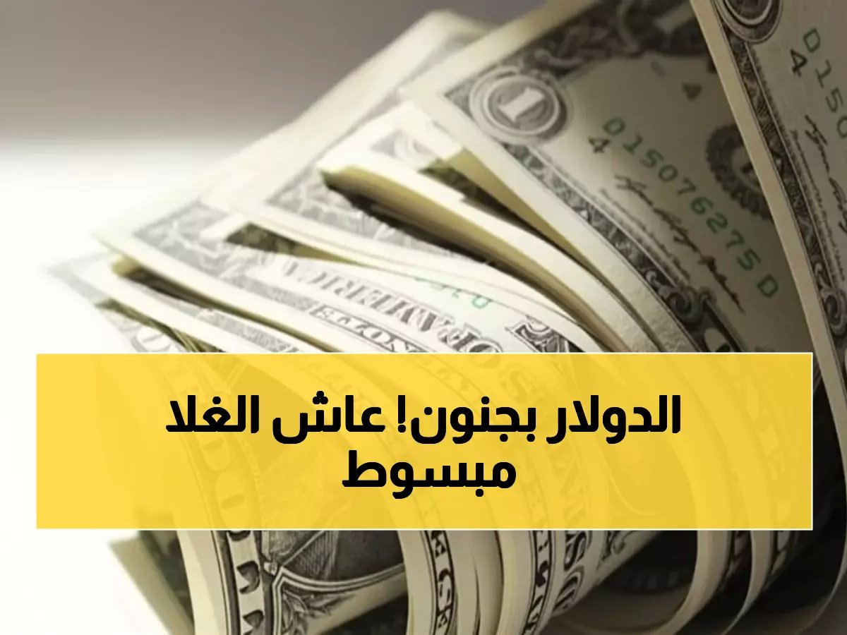  الدولار يحطم الحواجز النفسية ويقترب من 48 جنيه... هل تشهد مصر موجة غلاء جديدة؟