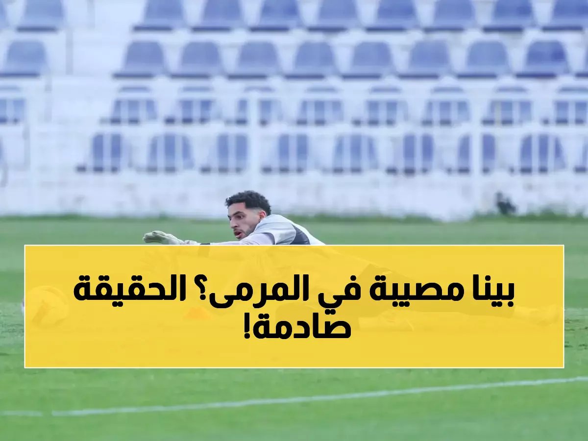  خبير يكشف "الكارثة" ويفجر مفاجأة عن شوبير والشناوي!