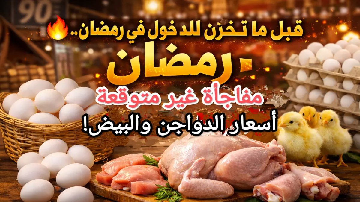 عاجل: أسعار الدواجن تنهار قبل رمضان... الفراخ البيضاء تهبط لـ65 جنيه والبيض بـ110!
