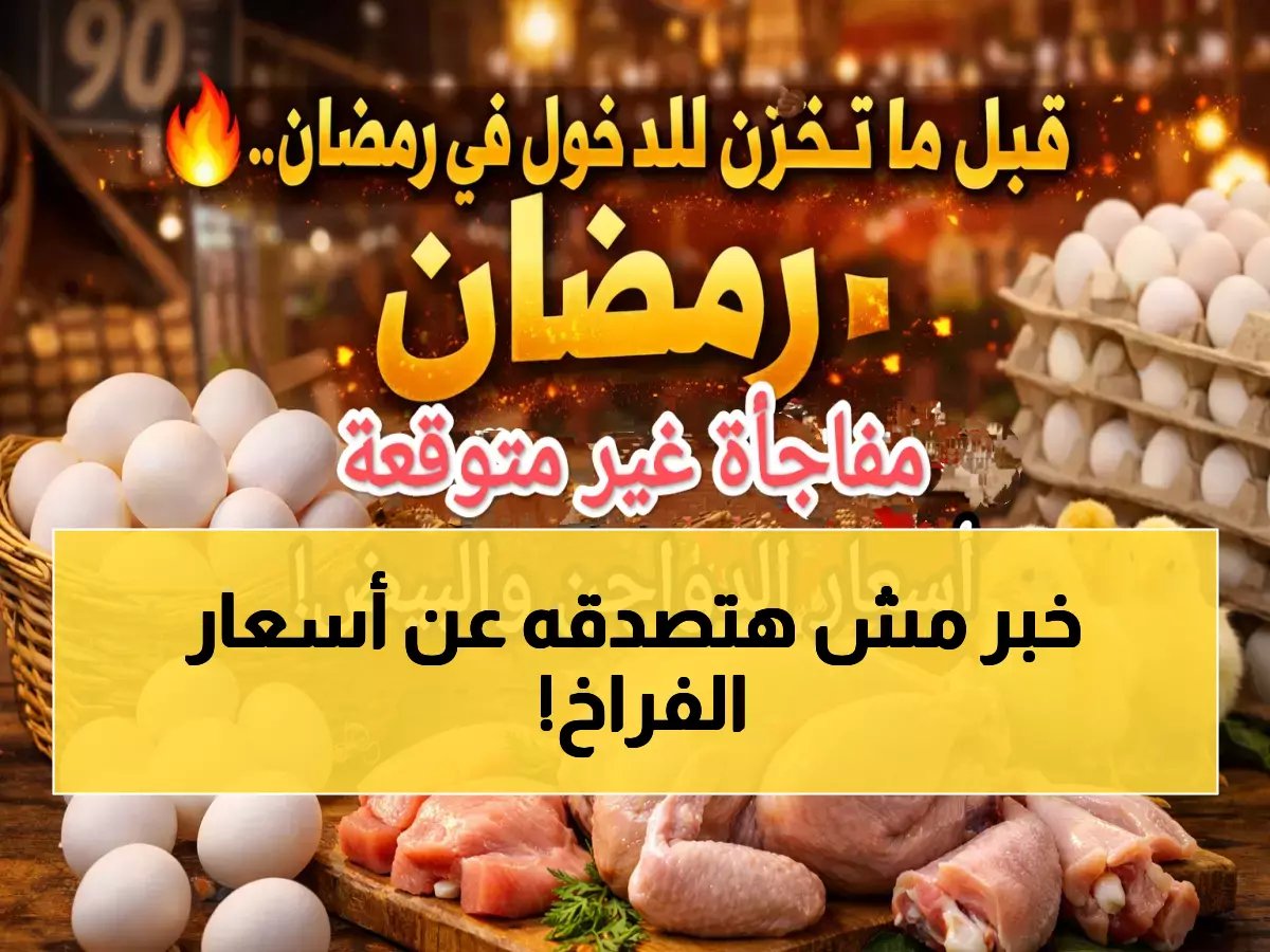  أسعار الدواجن تنهار قبل رمضان... الفراخ البيضاء تهبط لـ65 جنيه والبيض بـ110!