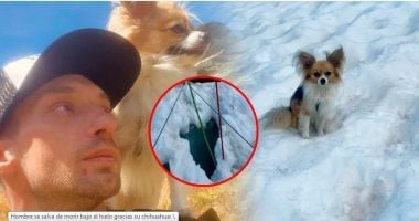 بفضل كلبه الصغير.. إنقاذ رجل من الموت تحت الجليد بمعجزة لا تصدق