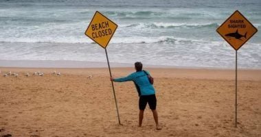 إغلاق شواطئ شمال سيدنى بعد هجوم جديد لسمكة قرش على شاب