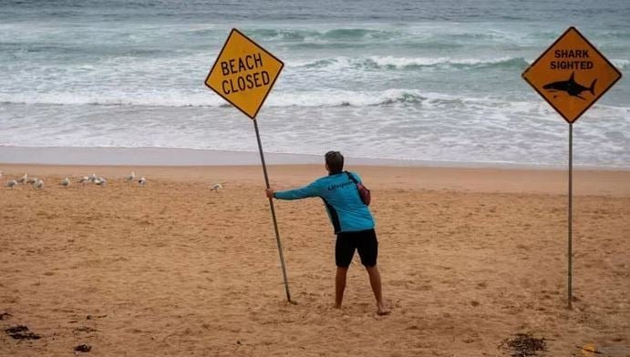 اغلاق شاطئ فى سيدني بعد هجوم قرش