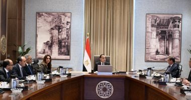 الحكومة: مراكز إيواء للحيوانات الضالة بالمحافظات بعيدا عن الكتلة السكنية