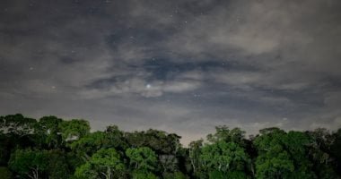 كيف تتغذى غابات الأمازون على دخان الحرائق؟ دراسة جديدة تكشف مفاجأة