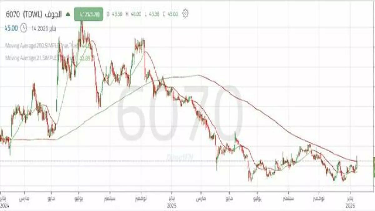 عاجل: سهم الجوف يستهدف 48 ريال… خبراء يكشفون السيناريو الذهبي للمستثمرين!
