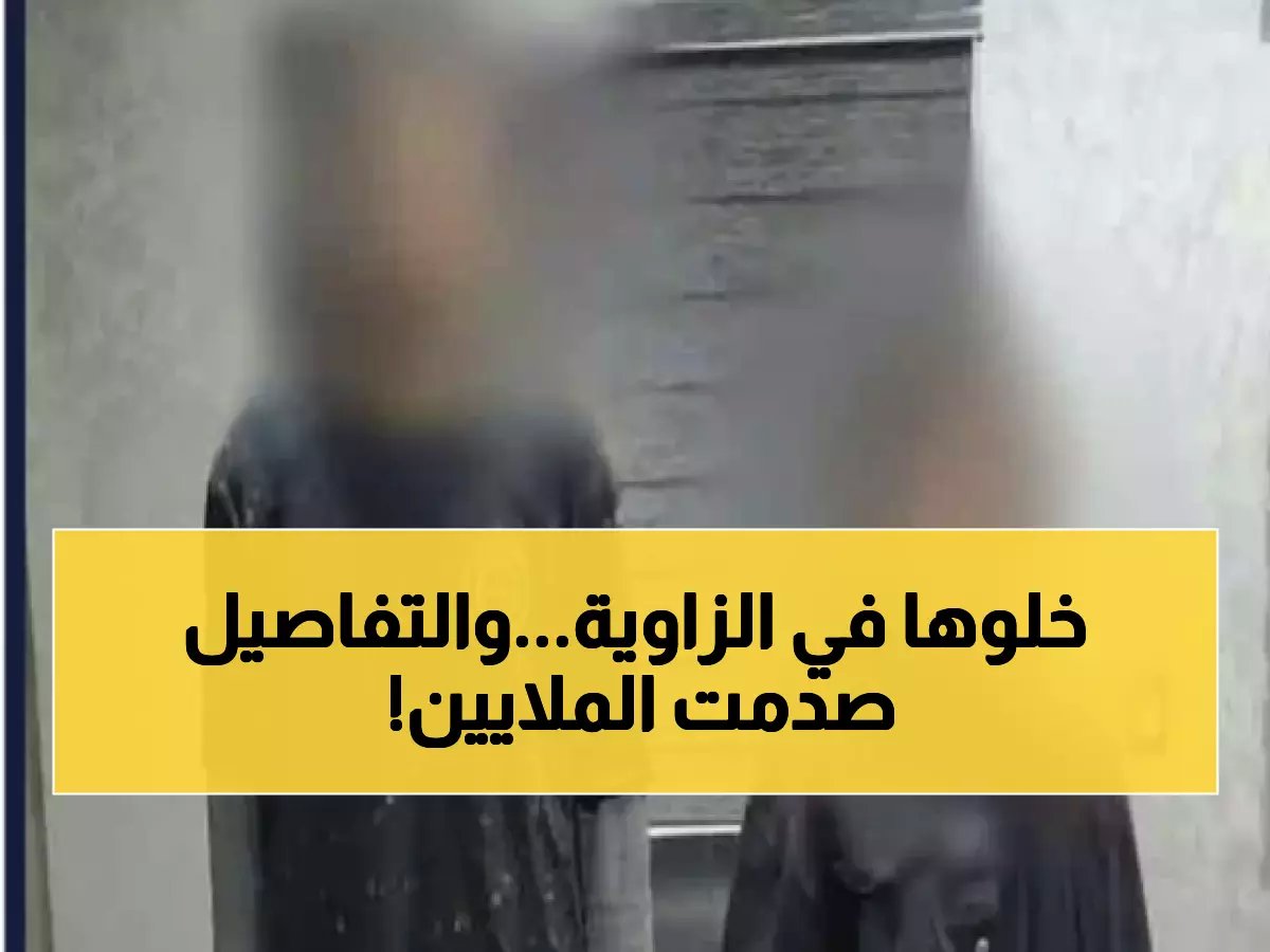  شبكة فساد إلكترونية تسقط بالإسكندرية... الأمن يكشف تفاصيل صادمة!