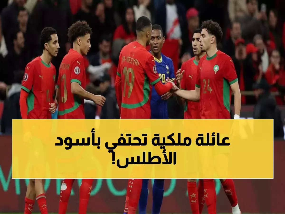  الأمير مولاي رشيد يكرم أسود الأطلس في قصر ملكي - برقية خاصة من الملك محمد السادس تشعل الفخر المغربي!