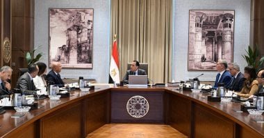 رئيس الوزراء يستعرض جهود تعظيم الاستفادة من الخامات التعدينية والمحجرية بمصر