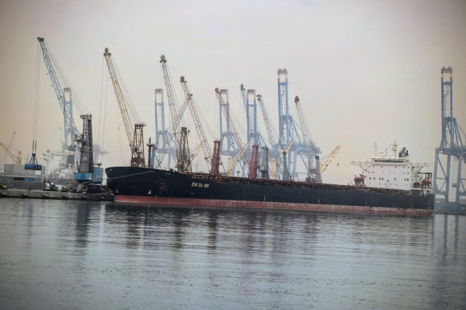 ميناء دمياط يستقبل أكبر حمولة بضائع ميناء دمياط يستقبل أكبر حمولة بضائع