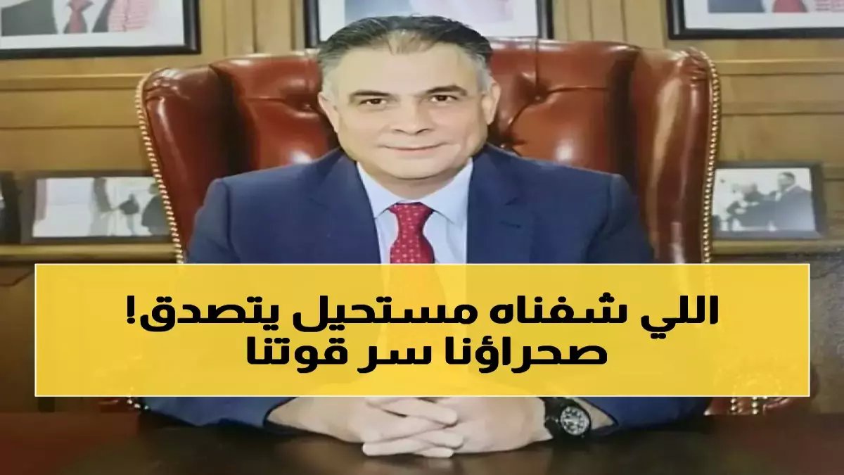 كيف حولت الصحراء من حدود إلى سلاح؟.. السعودية تجيب باستثمار 150 مليار دولار يحقق وفورات خيالية: 25% مسافة و60% وقت و40% تكلفة