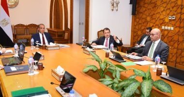وزير الخارجية يؤكد أولوية الدائرة الإفريقية في السياسة الخارجية المصرية