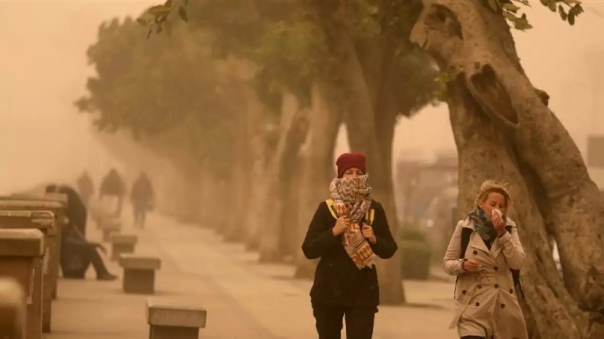 عاجل: الأرصاد تحذر من عاصفة ترابية تجتاح 6 محافظات… والرياح تصل لمستويات خطيرة!