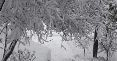 إعلان الطوارئ فى 12 ولاية أمريكية بسبب عاصفة شتوية قد تكون كارثية