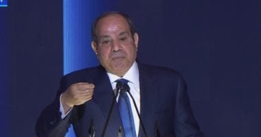  مصر ترفض إنشاء ميليشيات وكيانات موازية للجيوش