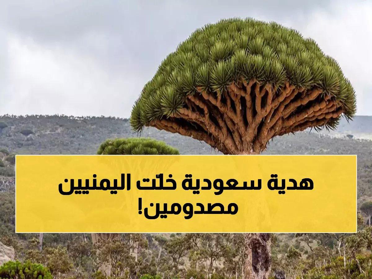 اليمنيون يصابون بالدهشة بعد وصول هدية سعودية ضخمة إلى سقطرى.. تعرف عليها!