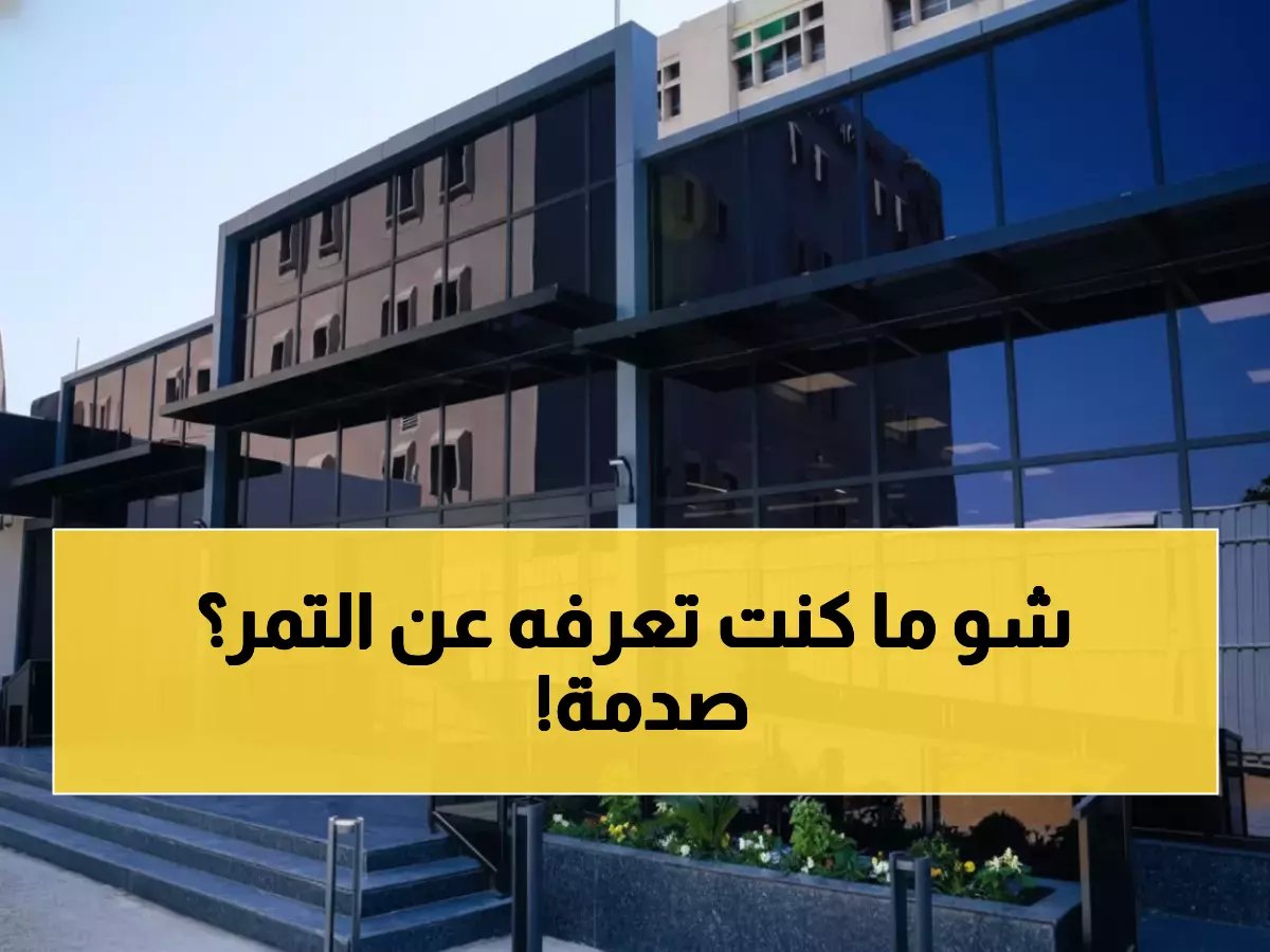  أسرار التمور التي تحارب الأمراض... خبراء الأحساء يكشفون الحقائق المذهلة!