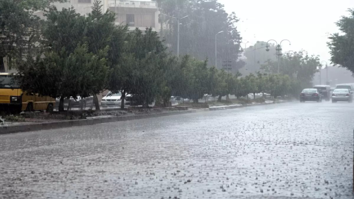 عاجل: الأرصاد تحذر من طقس خطير خلال 24 ساعة... شبورة كثيفة وأمطار تضرب 7 محافظات!