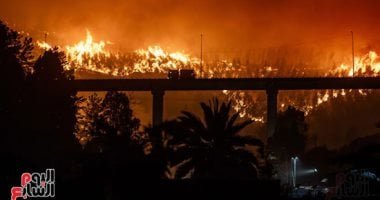 الحرائق تلتهم 36 ألف هكتار من الغابات في الأرجنتين