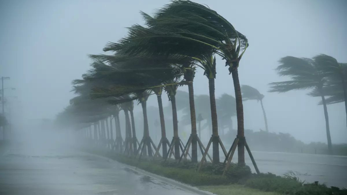 عاجل: الأرصاد تحذر من رياح تصل لـ60 كم/س وأتربة تخنق القاهرة.. والصغرى 11 درجة فقط!