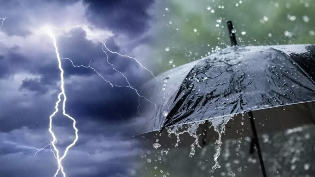 عاجل: الأرصاد تحذر من مفاجأة جوية صادمة غداً... الشبورة الكثيفة تشل الحركة والحرارة تنهار 15 درجة!