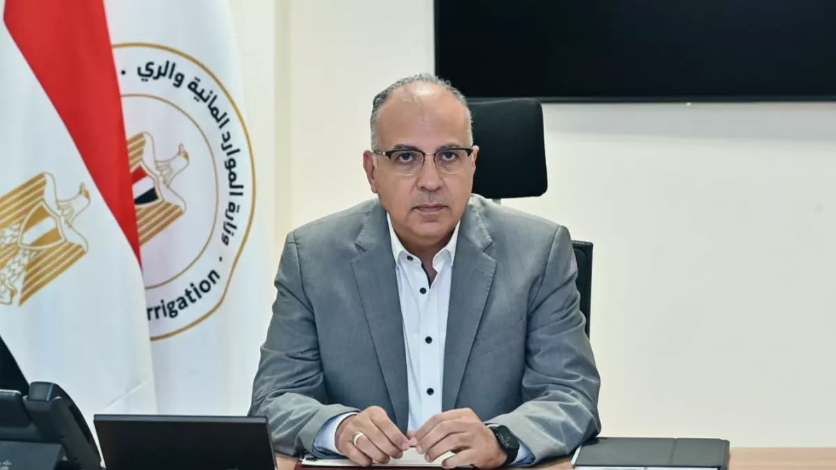 عاجل: مصر تحقق إنجازاً تاريخياً مع اليابان... الرئاسة المشتركة لملف المياه العالمي تضعها في المقدمة!