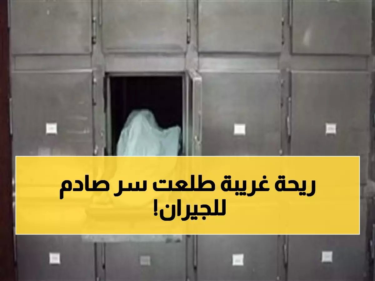  العثور على جثة متحللة لمسن داخل شقته بالبحيرة... الجيران يكتشفون الصدمة بعد 3 أيام!