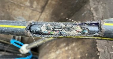 فئران لندن تُفشل صفقة إنقاذ شركة إنترنت متعثرة وتكبدها خسائر فادحة.. صور