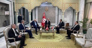 وزراء خارجية مصر وتونس والجزائر يعقدون اجتماعا ثلاثيا حوّل ليبيا