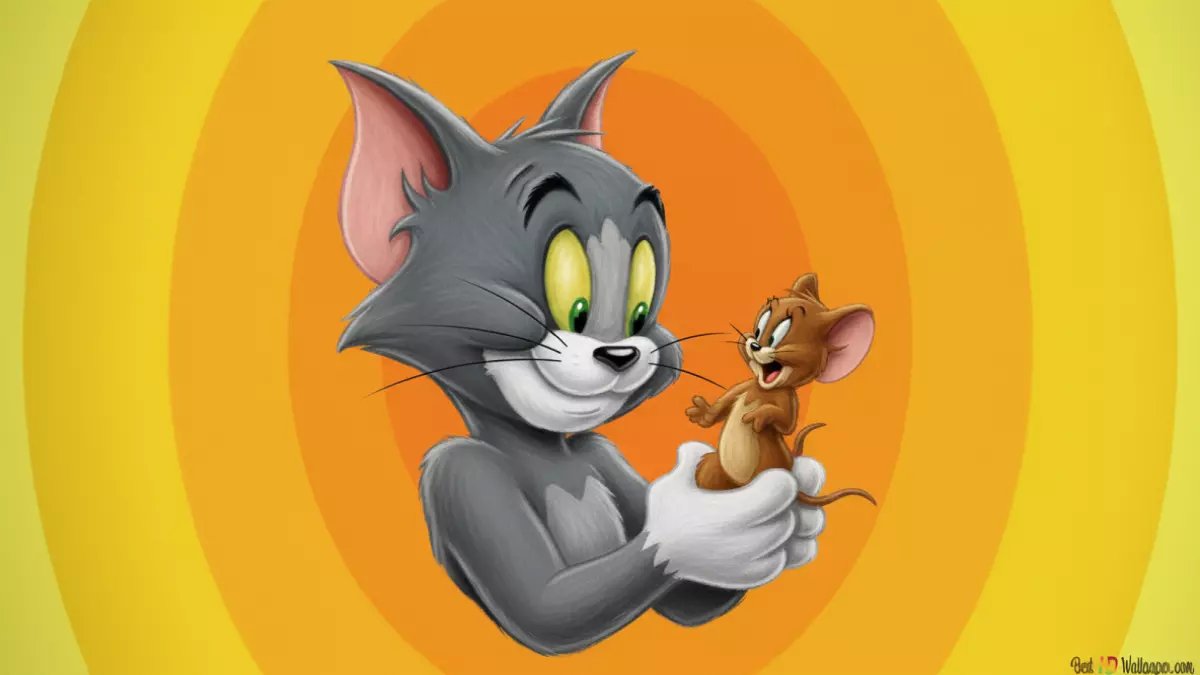 معاناة الآباء من رعب الفيديوهات العشوائية انتهت.. توم وجيري يطلق 4 تردادات جديدة لحماية أطفالك.