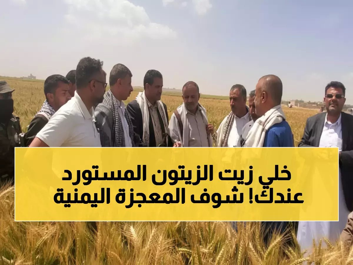  اكتشاف يهز العالم... مزارعون يمنيون يحققون معجزة 100% ستنهي استيراد الزيتون إلى الأبد!