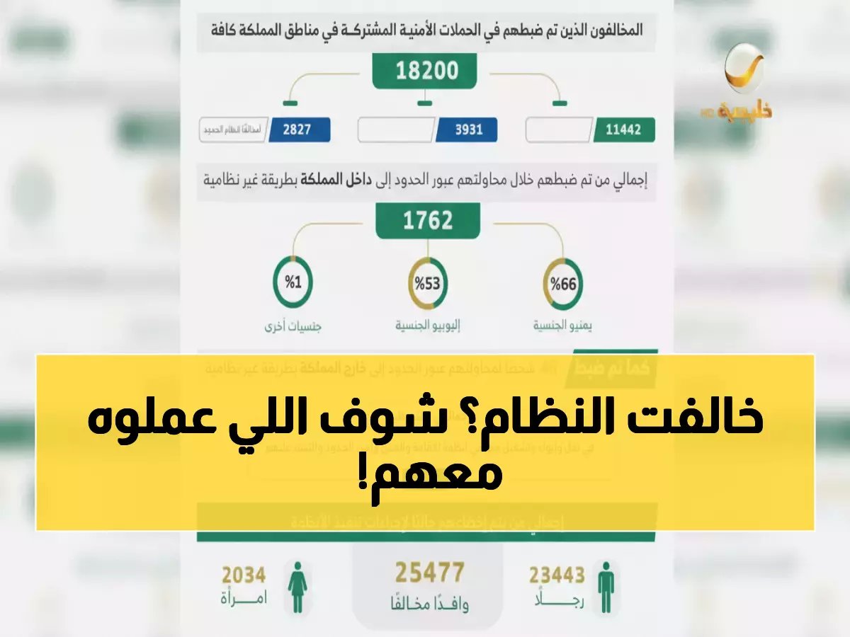  ضبط 18200 مخالف في حملة أمنية عملاقة... والأرقام صادمة!