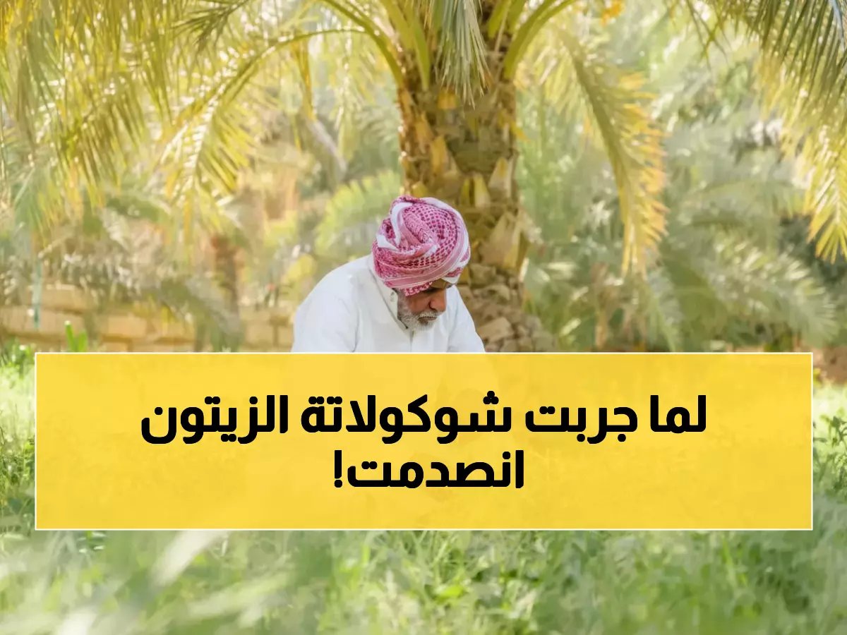  مزارع سعودي يخترع شوكولاتة الزيتون الثورية... الطعم الذي سيصدم العالم ويدفع الجوف للعالمية! (صور)