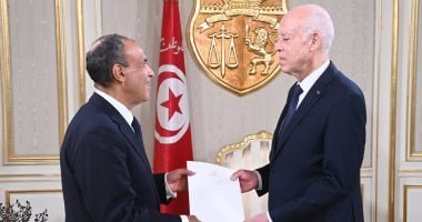 وزير الخارجية يسلم رسالة خطية من الرئيس السيسى إلى نظيره التونسى