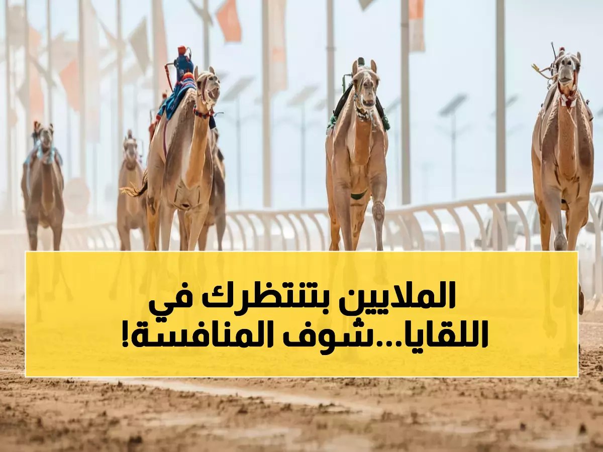  انطلاق محفل "اللقايا" التاريخي بـ75 مليون ريال جوائز - صراع ملوكي على أرض الجنادرية!