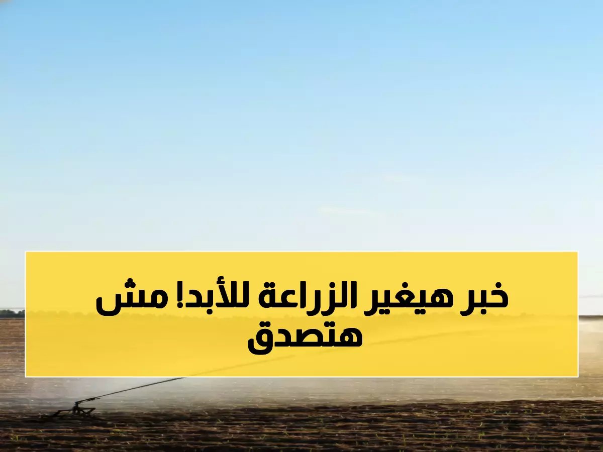  السعودية تحظر زراعة الأعلاف المعمرة نهائياً بعد 16 نوفمبر... توفير 23 ألف متر مكعب مياه للهكتار!