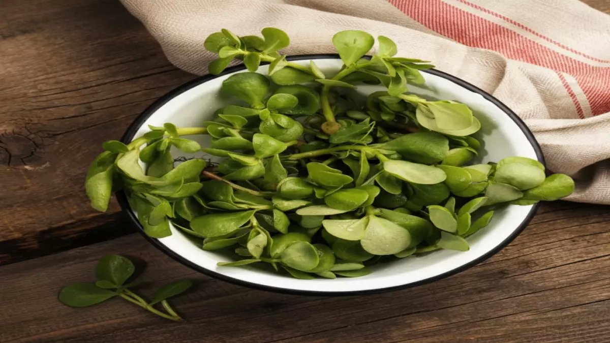 تعرف على الرجلة: النبات البري المنسي الذي يحارب الالتهابات ويدعم صحة القلب - فوائد مذهلة في مطبخك!