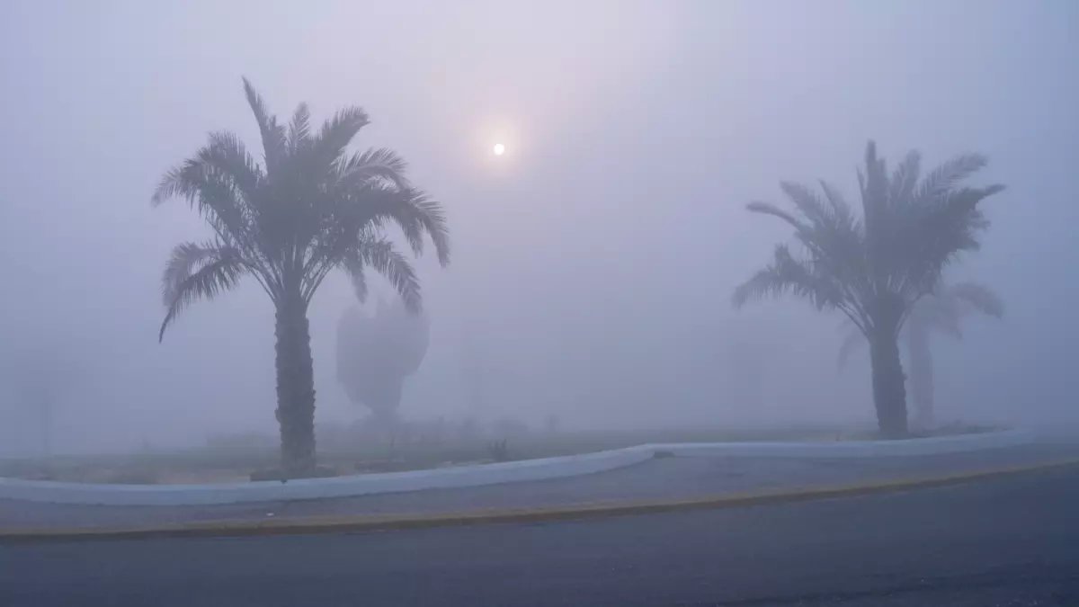 عاجل: إنذار أحمر يضرب الشرقية... ضباب كثيف يمحو الرؤية تماماً حتى 12 ظهراً!