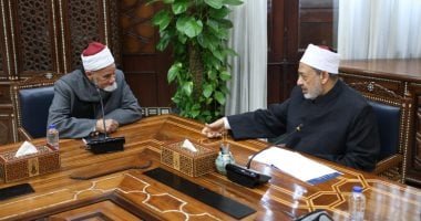 شيخ الأزهر: «المذهب الأشعرى» طوق نجاح لكل المسلمين على اختلاف مذاهبهم