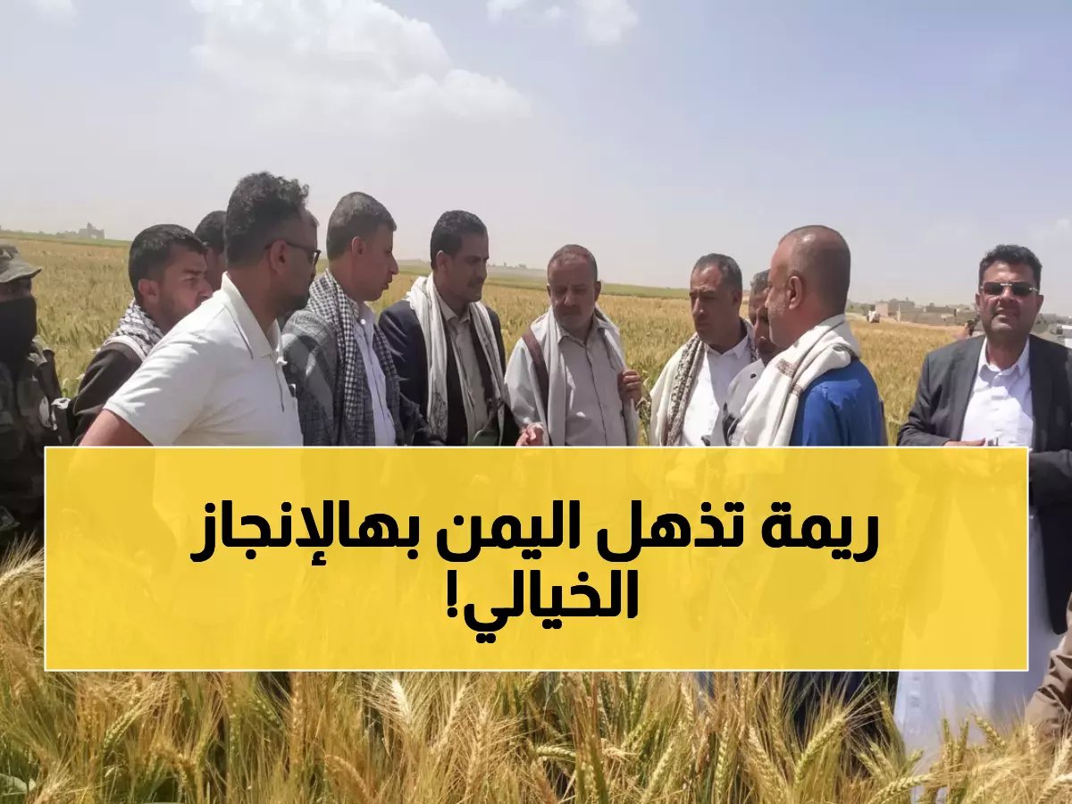  مزارعو ريمة يحققون المعجزة... 100% نجاح في زراعة الزيتون خلال موسم واحد فقط!