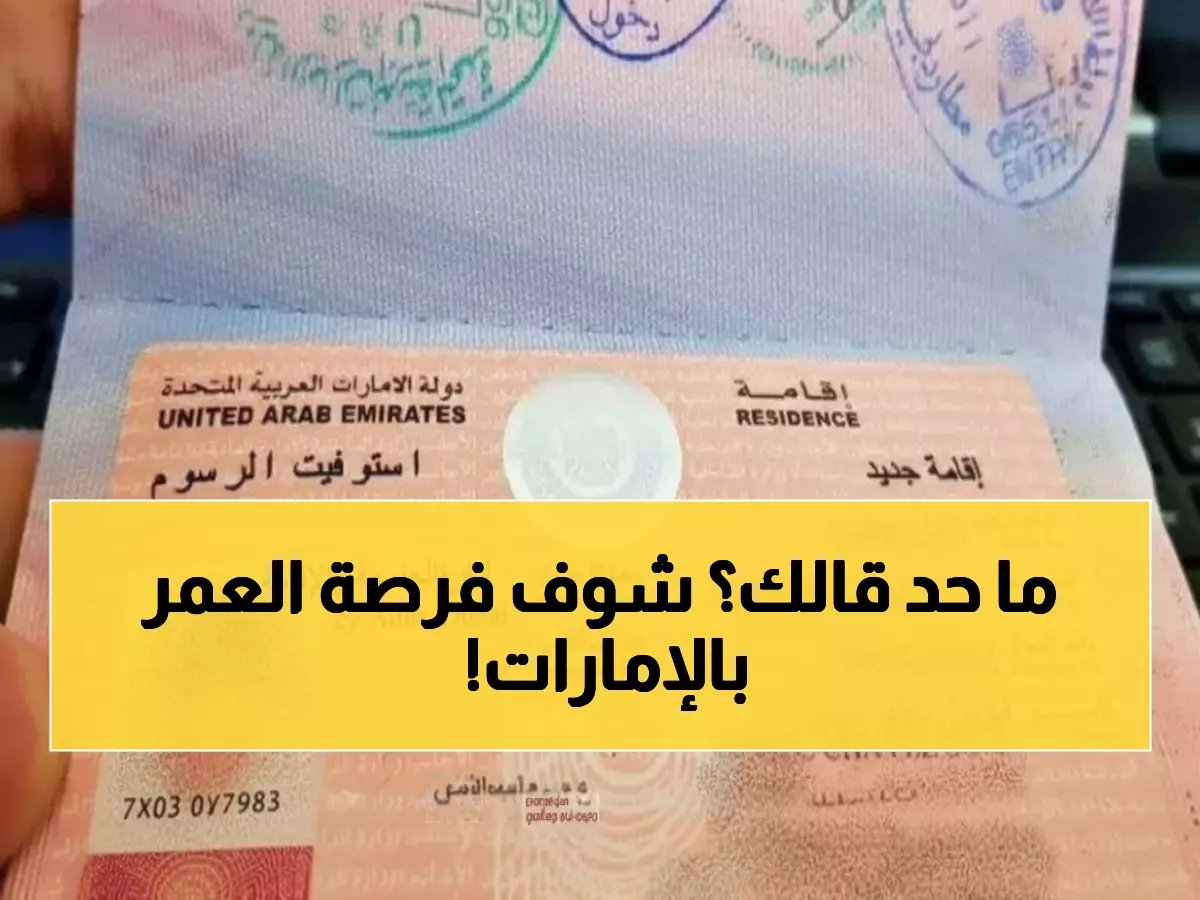  الإمارات تطلق تأشيرة عمل ثورية - صلاحية عامين ودخول متعدد يغير قواعد سوق العمل للأبد!