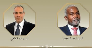 مصر ونيجيريا تبحثان تعزيز العلاقات الثنائية والتطورات بالقارة الإفريقية