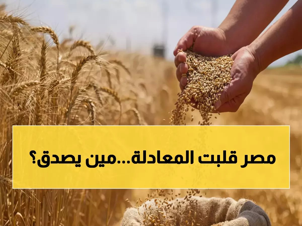  مصر تصدم العالم وتحتل المركز الثاني عالمياً في إنتاج القمح بـ 19.56 إردباً للفدان… إنجاز يُعيد كتابة التاريخ!