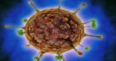 فيروس نيباه ينطلق من كندا ويثير ذعرا عالميا.. منظمة الصحة تكشف الكواليس