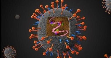 تسجيل حالتي إصابة بفيروس نيباه القاتل في الهند يثير حالة من القلق عالميا