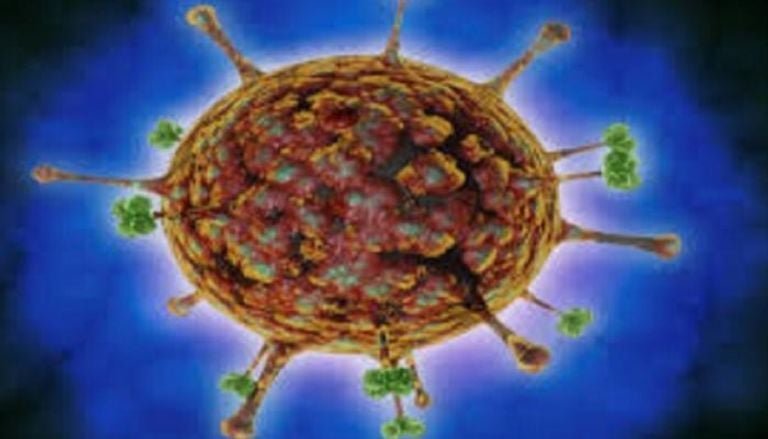 فيروس نيباه كندا