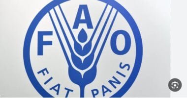 فاو: 42 مليون شخص يعانون انعدام الأمن الغذائى فى غرب إفريقيا والساحل